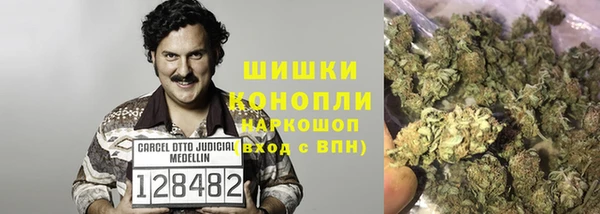 мяу мяу мука Горно-Алтайск