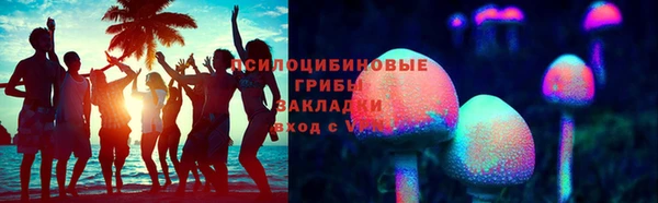 скорость Вяземский