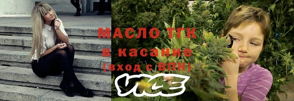 мяу мяу мука Горно-Алтайск